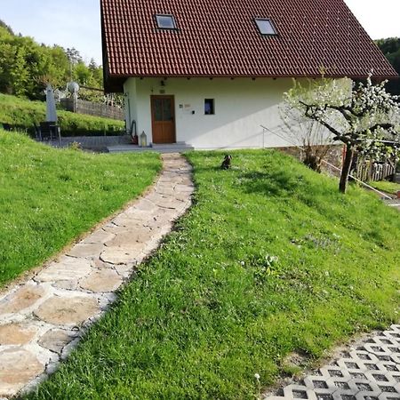 Bioferienhaus Muster - Dominkusch Possnitz 外观 照片