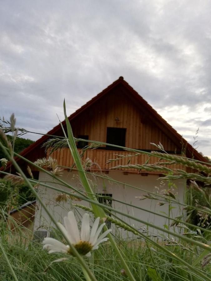 Bioferienhaus Muster - Dominkusch Possnitz 外观 照片
